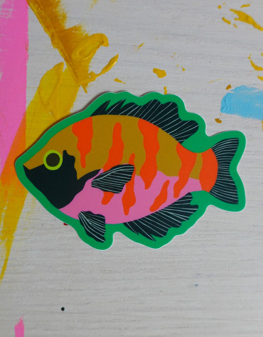 Bluegill Stickers