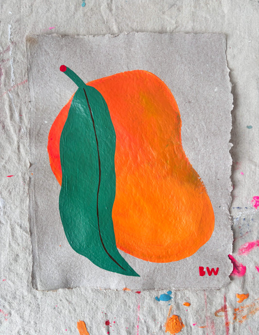 Study on Homemade Paper: Mango