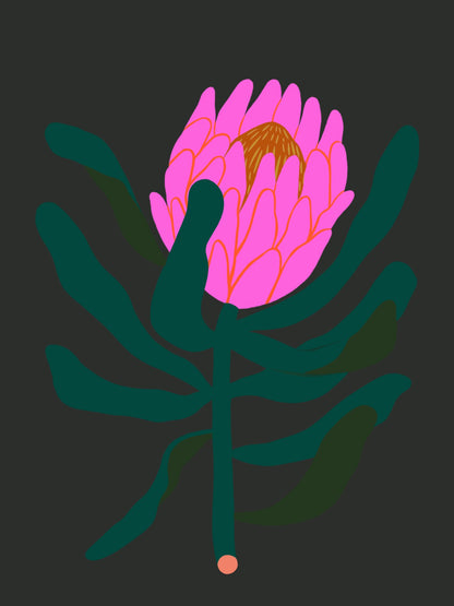 Protea Print