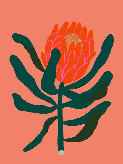 Protea Print