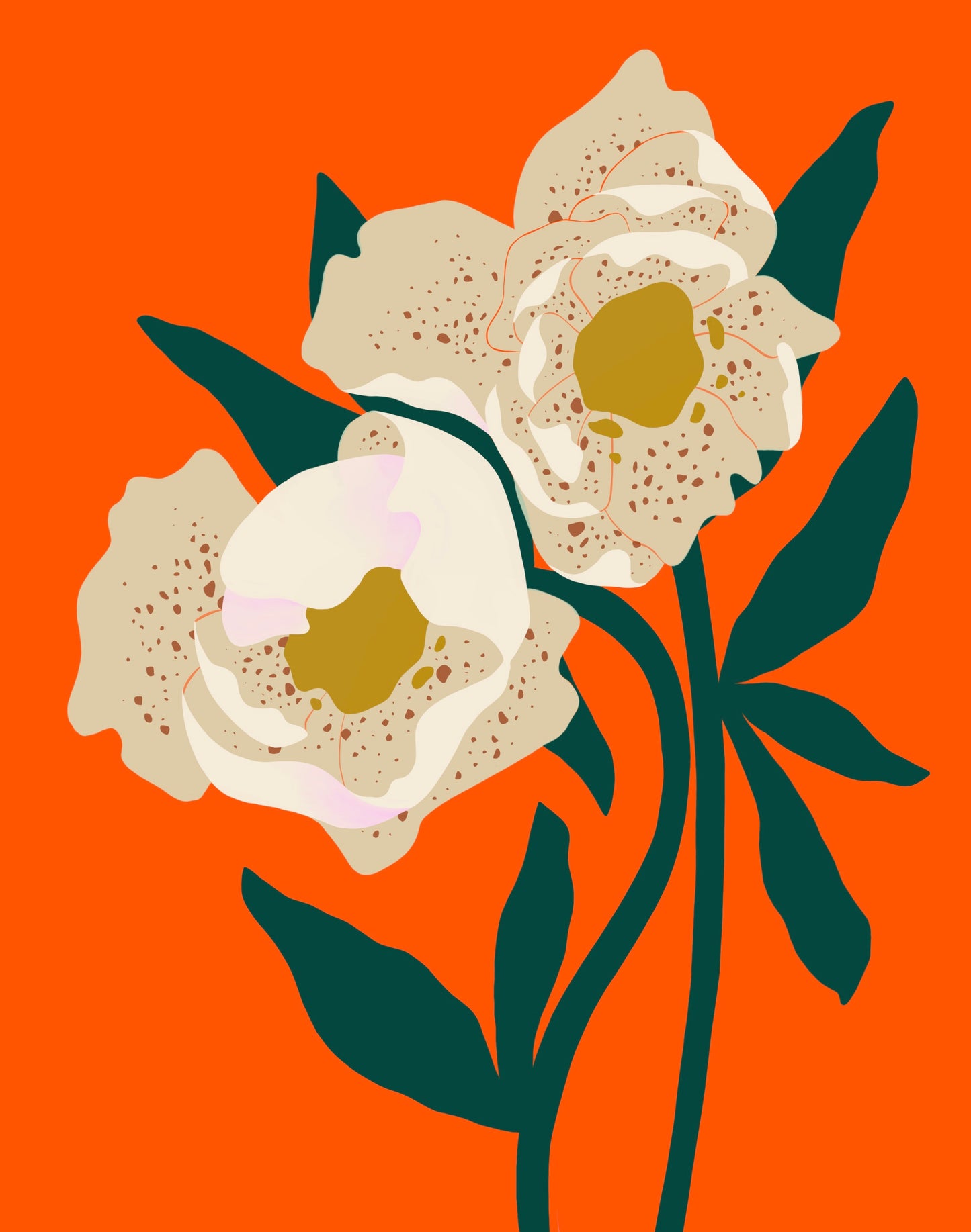 Hellebores Print